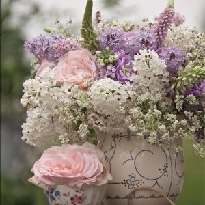 Meet your Posher, Blanca